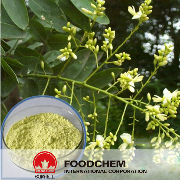 Sophora Japonica Extract